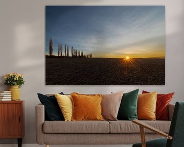 prachtige zonsopgang in Toscane bij de typische populier bomen van Kim Willems