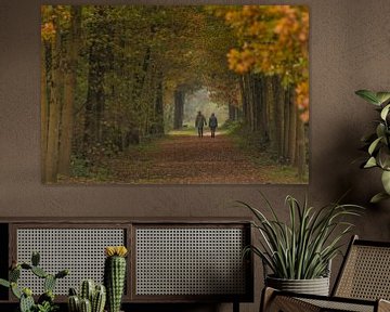 Une promenade dans les bois en automne aux Pays-Bas sur Eric Wander