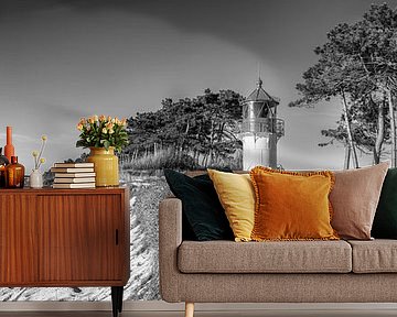 Island Hiddensee at the Baltic Sea with lighthouse in black and white. by Manfred Voss, Black-White Photography