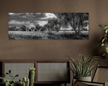 Insel Mallorca mit Windmühle und Finca in schwarzweiss. von Manfred Voss, Schwarz-weiss Fotografie