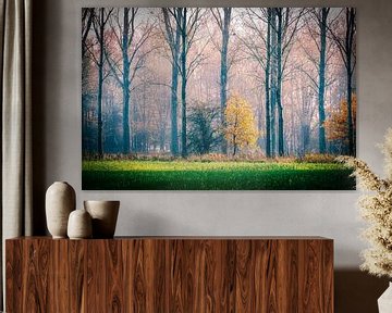 Autumn by Rudi Everaert