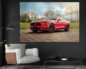 Roter Ford Mustang von Jaimy van Asperen