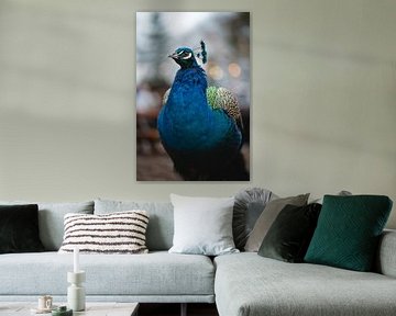 Beautiful peacock with deep blue colour. by Made By Jane