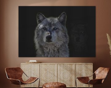 Wolf, portret van een wolf. De wolf (Canis lupus) van Gert Hilbink