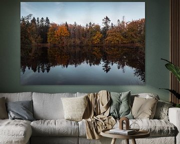 Autumn reflection Waalwijk by Zwoele Plaatjes