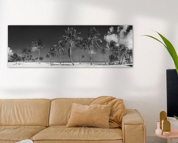 Plage des Caraïbes avec palmiers en noir et blanc. sur Manfred Voss, Schwarz-weiss Fotografie