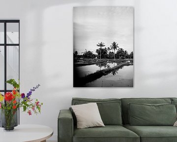 Palm trees in Black and White by Raisa Zwart