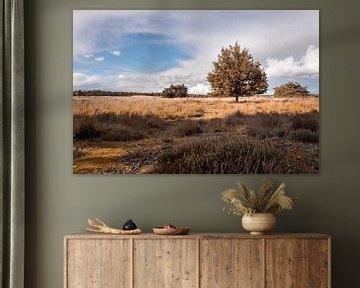 Heath Drunense Dunes Autumn by Zwoele Plaatjes