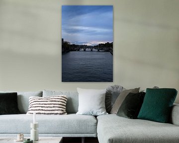 The Seine with a bridge | Paris | France Travel Photography by Dohi Media