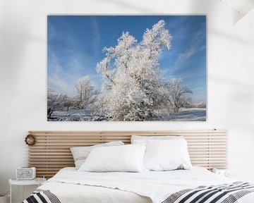 Winterlandschap - prachtig winterweer van t.ART