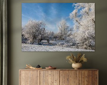 Winterlandschap met besneeuwde bomen van t.ART