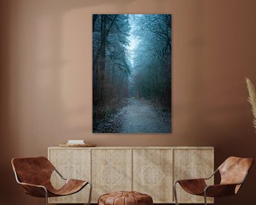 Mystic Forest van Photography Jansen