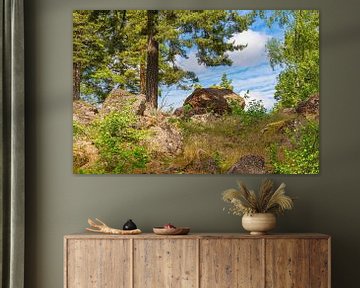 Landschap met rotsen en bomen bij Figeholm in Zweden