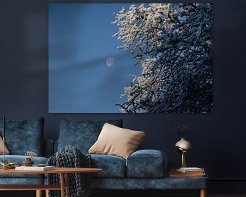 maan met blauwe lucht en sneeuw op de bomen van Eric van Nieuwland