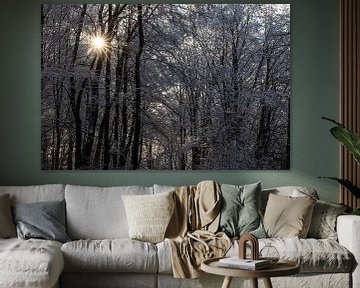 Sonnenlicht durch die Bäume im Winter von Eric van Nieuwland