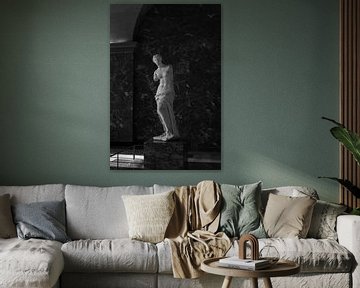 Venus van Milo Louvre | Parijs | Frankrijk Reisfotografie van Dohi Media