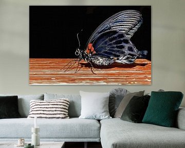 Poserende vlinder low key portret van Maud De Vries