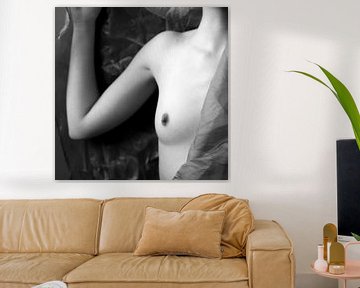 Velvet fine art nude fotografie serie van Marieke Feenstra