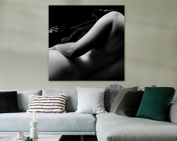 Velvet fine art nude photography series by Marieke Feenstra