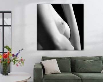 Velvet fine art nude photography series
