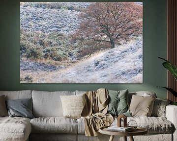 Mattierte Posbank von Danny Slijfer Natuurfotografie