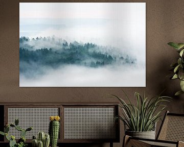Mistige Ardennen van Danny Slijfer Natuurfotografie