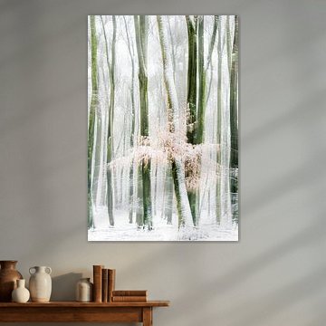 Verschneiter Buchenwald