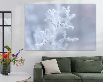 Bevroren takje bedekt met laagje rijp van Marika Huisman fotografie