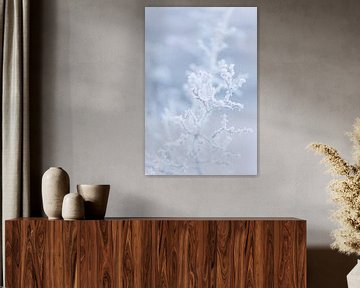 Takje bedekt met ijs | Winter Natuur Foto | van Marika Huisman⎪reis- en natuurfotograaf