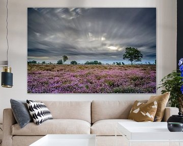 Windy heathland by Richard Guijt Photography