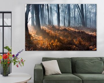 Zonneschijn in koud bos van Danny Slijfer Natuurfotografie