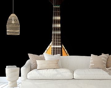 Neapolitan mandolin against black background by Werner Lerooy