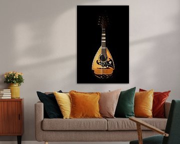 Neapolitan mandolin against black background by Werner Lerooy