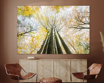 Autumn on the Veluwe by Danny Slijfer Natuurfotografie