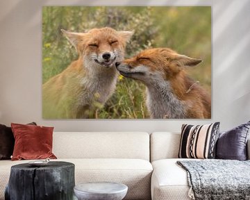 Fox kiss by Tim Link