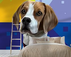 Aperçu de la chambre