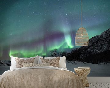 Northern lights over a frozen lake in the Lofoten in Norway