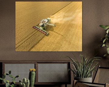 Combine oogst tarwe in de zomer gezien van bovenaf gezien van Sjoerd van der Wal