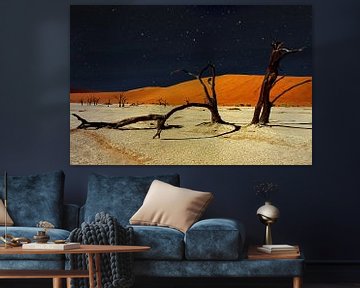 Namibia Deadvlei tree skeletons at night