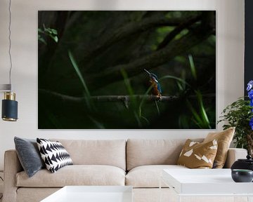 Martin-pêcheur dans la verdure sur Danny Slijfer Natuurfotografie