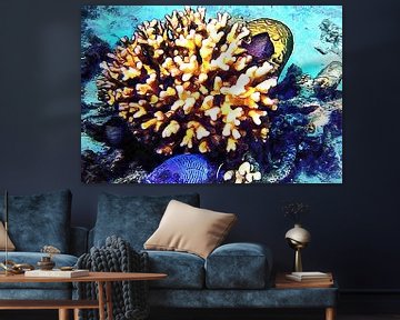 Vis en koraal Cluster 2 van Dorothy Berry-Lound