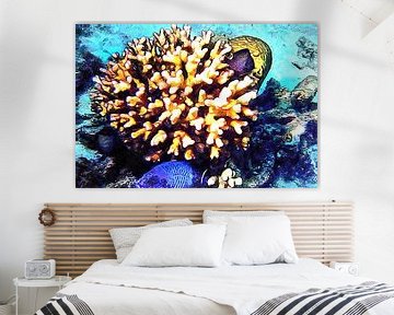 Vis en koraal Cluster 2 van Dorothy Berry-Lound