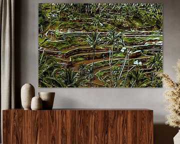 Paddy Fields Bali by Dorothy Berry-Lound