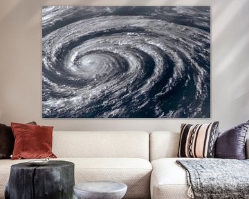 Satellietbeeld van de orkaan Illustratie van Animaflora PicsStock