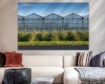 Greenhouses with blue skies and green grass by Arjan van der Veer