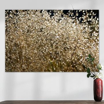 Dauwdruppels explosie by Herman van Ommen