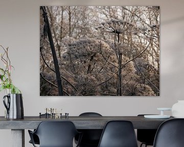 Zusammensetzung der Zypresse im Winter von Wim vd Neut