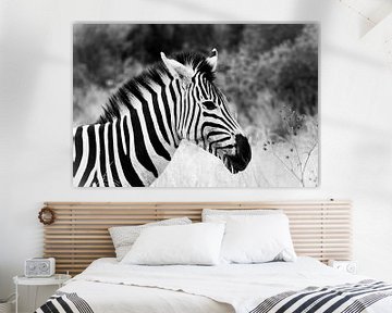 Zwart-wit zebra 'en profil' in Zuid Afrika van Mark Zoet