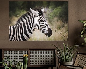 Zebra 'en profil' in Zuid Afrika van Mark Zoet