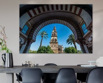 tour de la Mezquita à Cordoue, Andalousie, Espagne sur Joke Van Eeghem